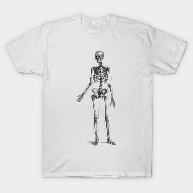 Full Body Skeleton - Vintage Anatomy T-Shirt by Vintage Anatomy Prints